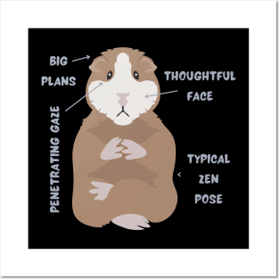 Anatomy Of A Guinea Pig With Funny Labels Posters and Art